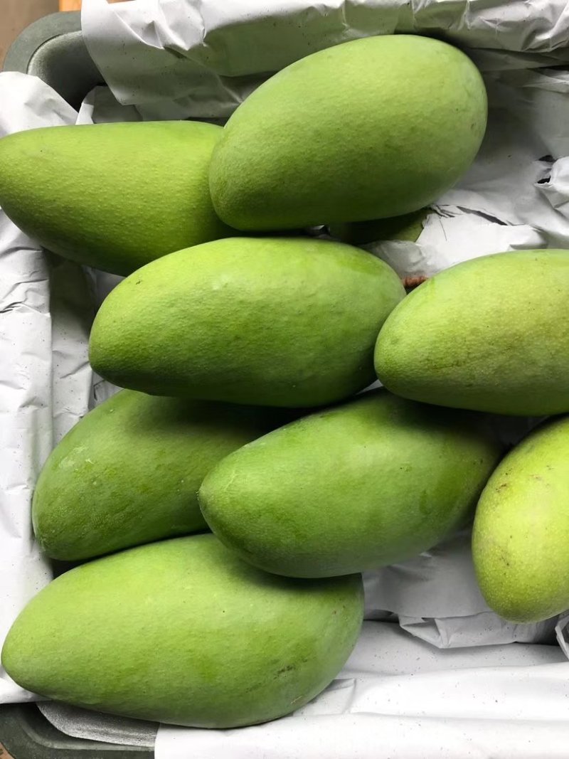大青芒带箱10斤45元