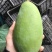 大青芒带箱10斤45元