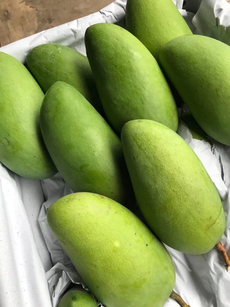 大青芒带箱10斤45元