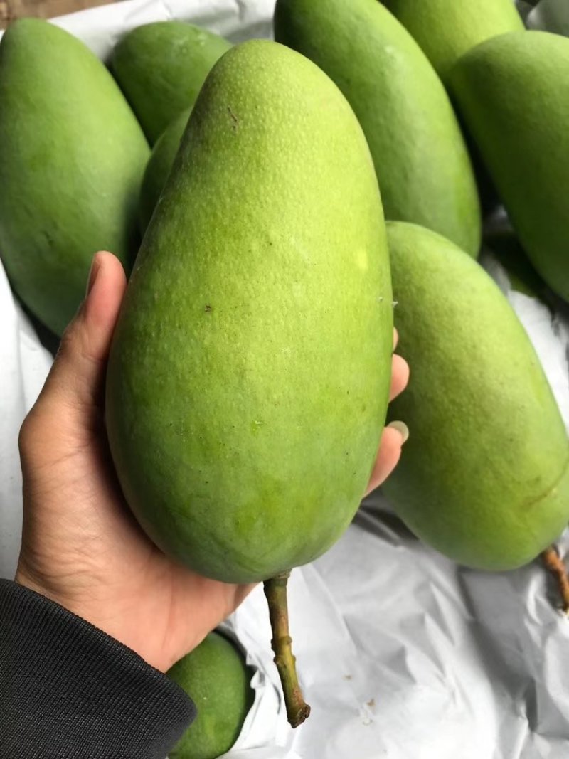 大青芒带箱10斤45元