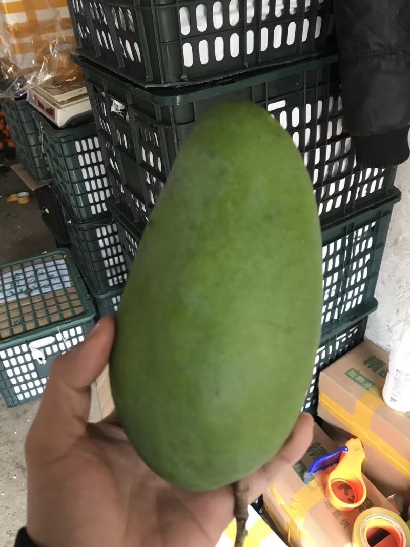大青芒带箱10斤45元