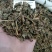 鱼腥草1公斤起批不包邮供应各种中药材