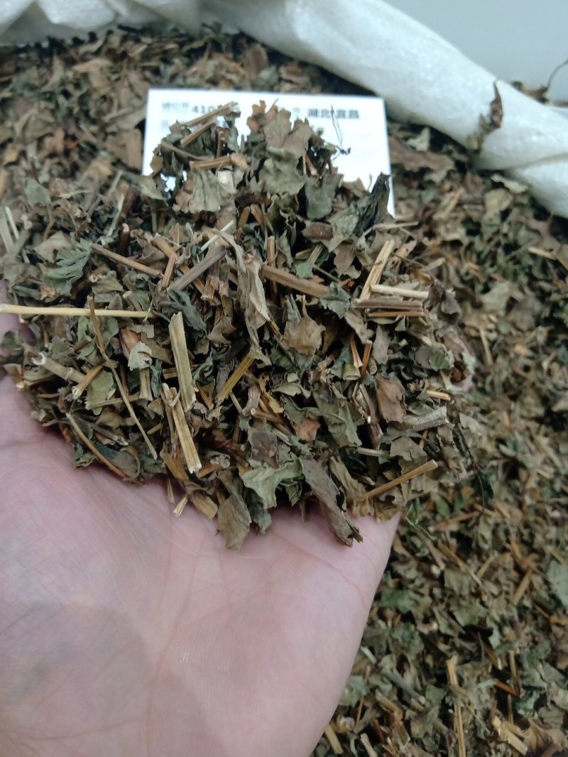 鱼腥草1公斤起批不包邮供应各种中药材