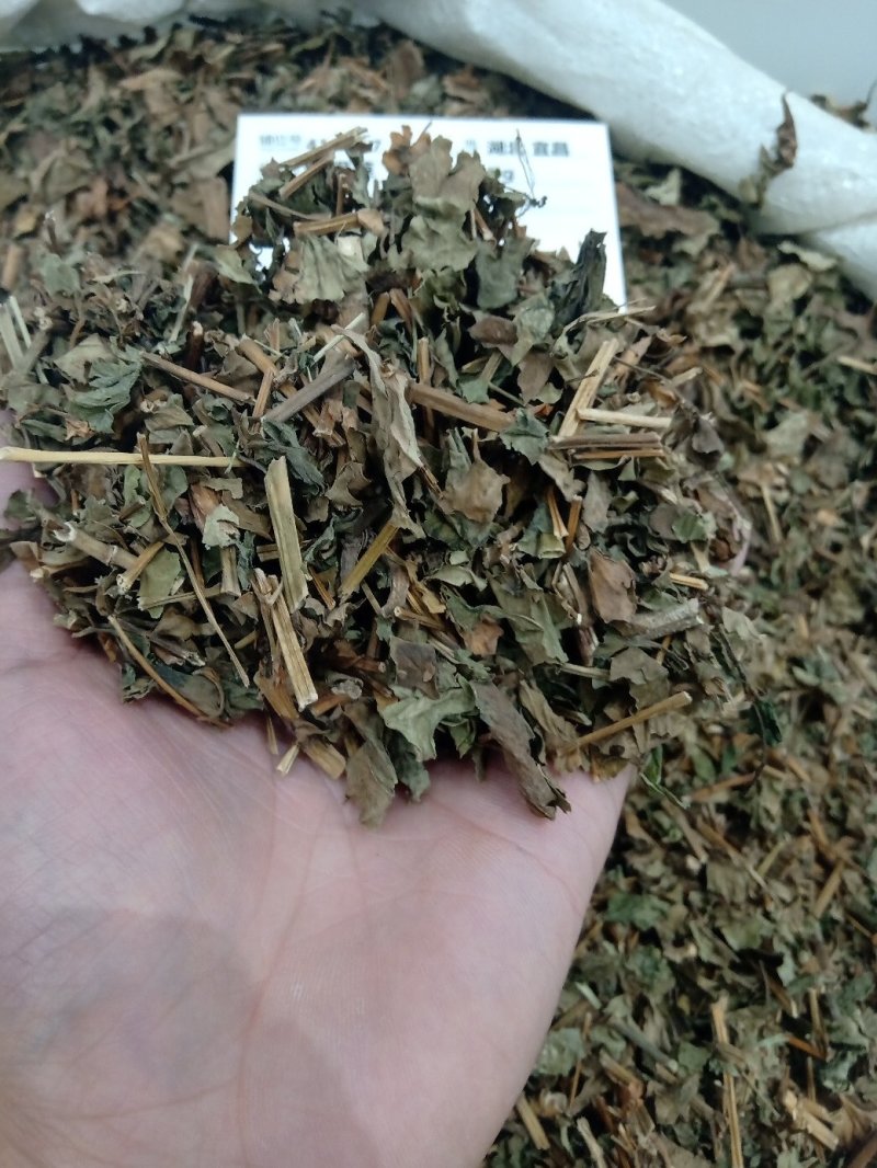 鱼腥草1公斤起批不包邮供应各种中药材