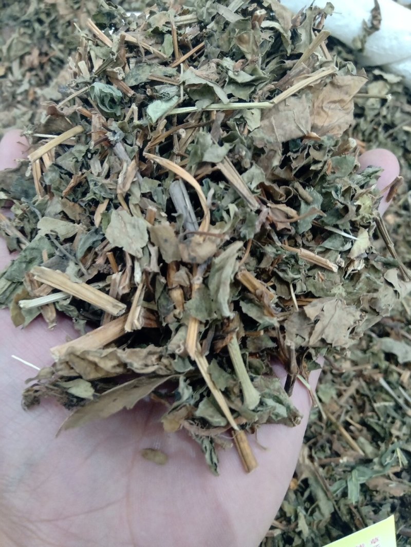 鱼腥草1公斤起批不包邮供应各种中药材