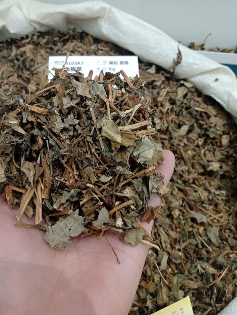 鱼腥草1公斤起批不包邮供应各种中药材