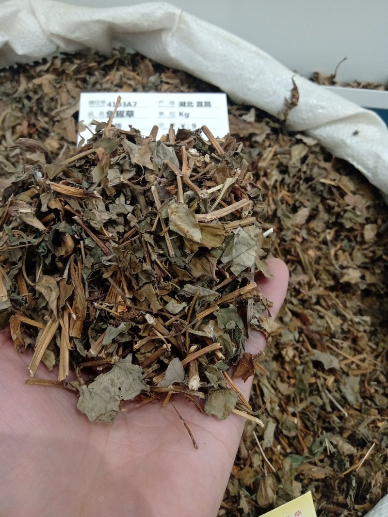鱼腥草1公斤起批不包邮供应各种中药材