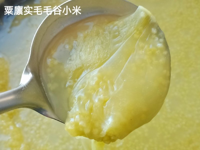 2023毛毛谷小米米质优好吃常年供货