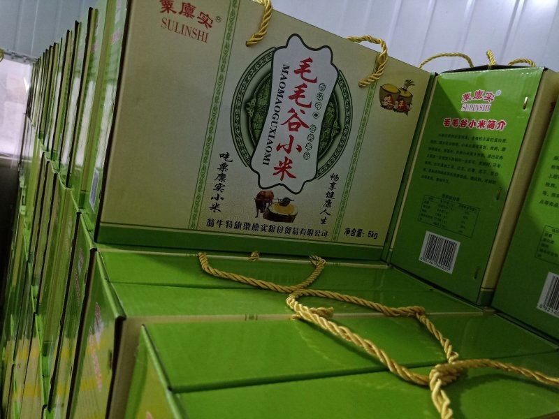 2023毛毛谷小米米质优好吃常年供货
