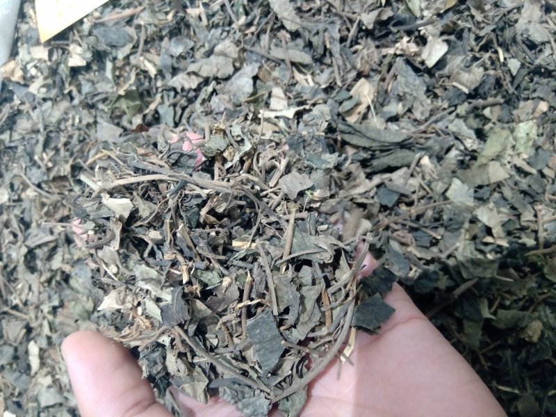 金钱草1公斤起批不包邮供应各种中药材