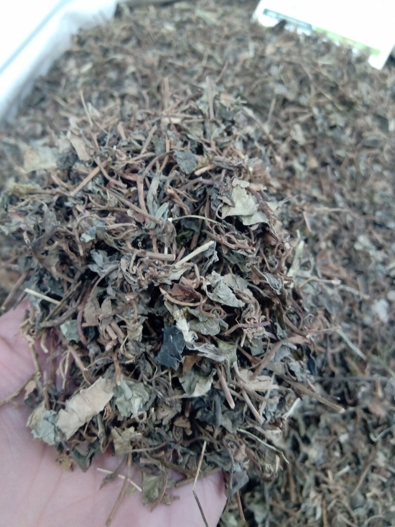 金钱草1公斤起批不包邮供应各种中药材