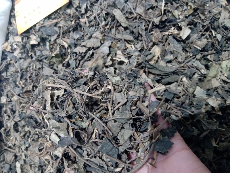 金钱草1公斤起批不包邮供应各种中药材