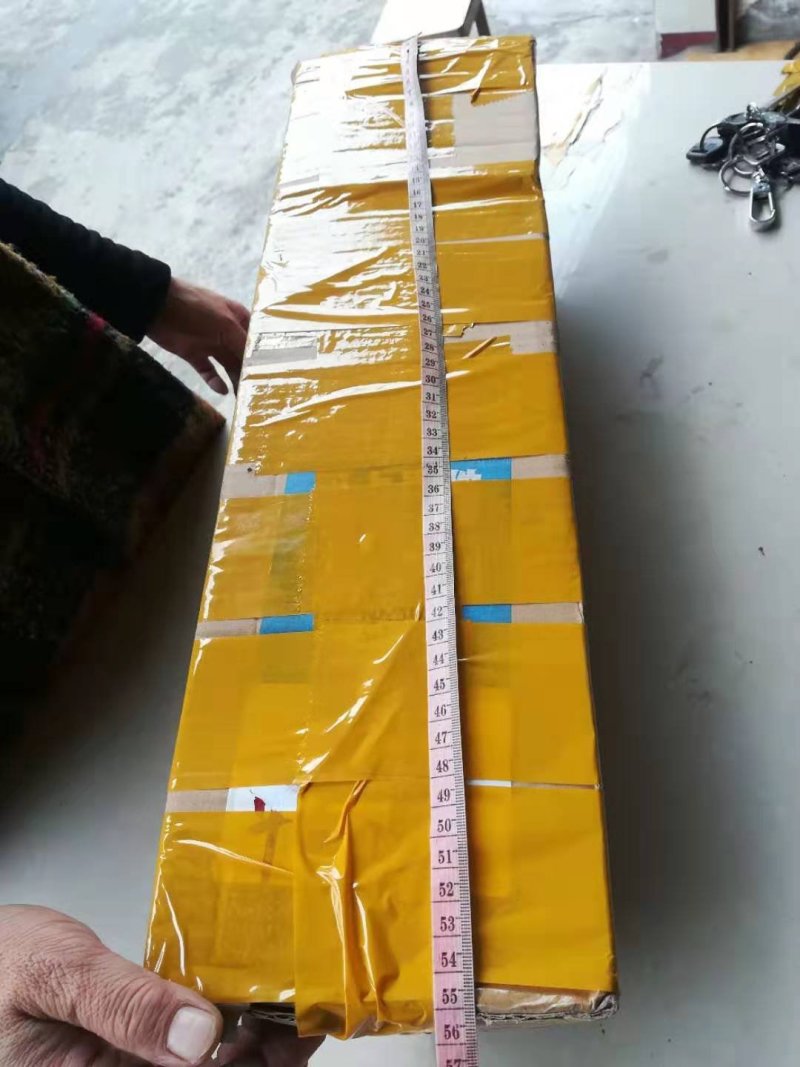 曼地亚红豆杉小苗，移栽苗出售