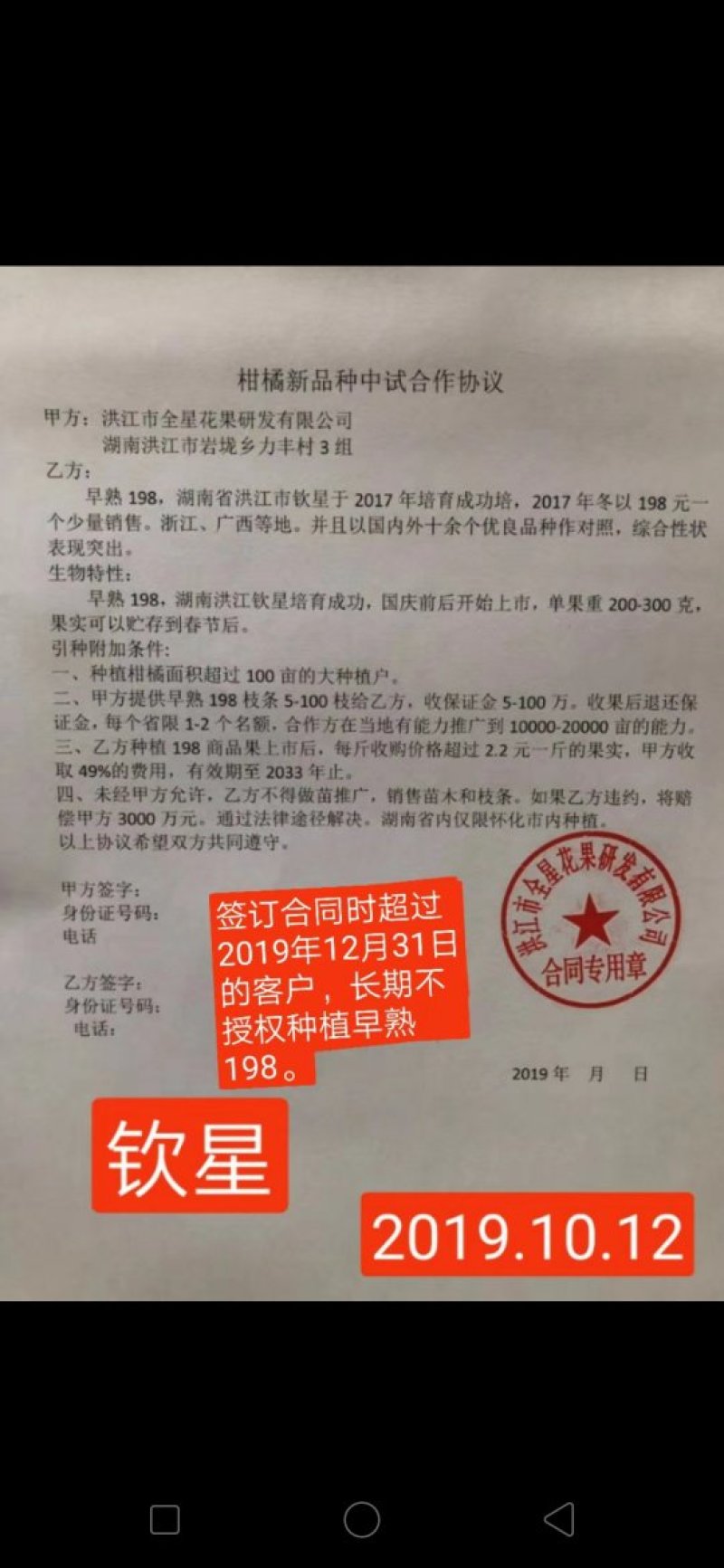 柑桔苗超级品种全冠198综合性状超优品系