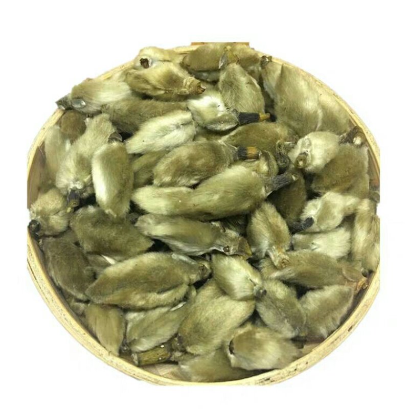 辛夷花产地直供支持线上交易可搭配多品种采购大货联系