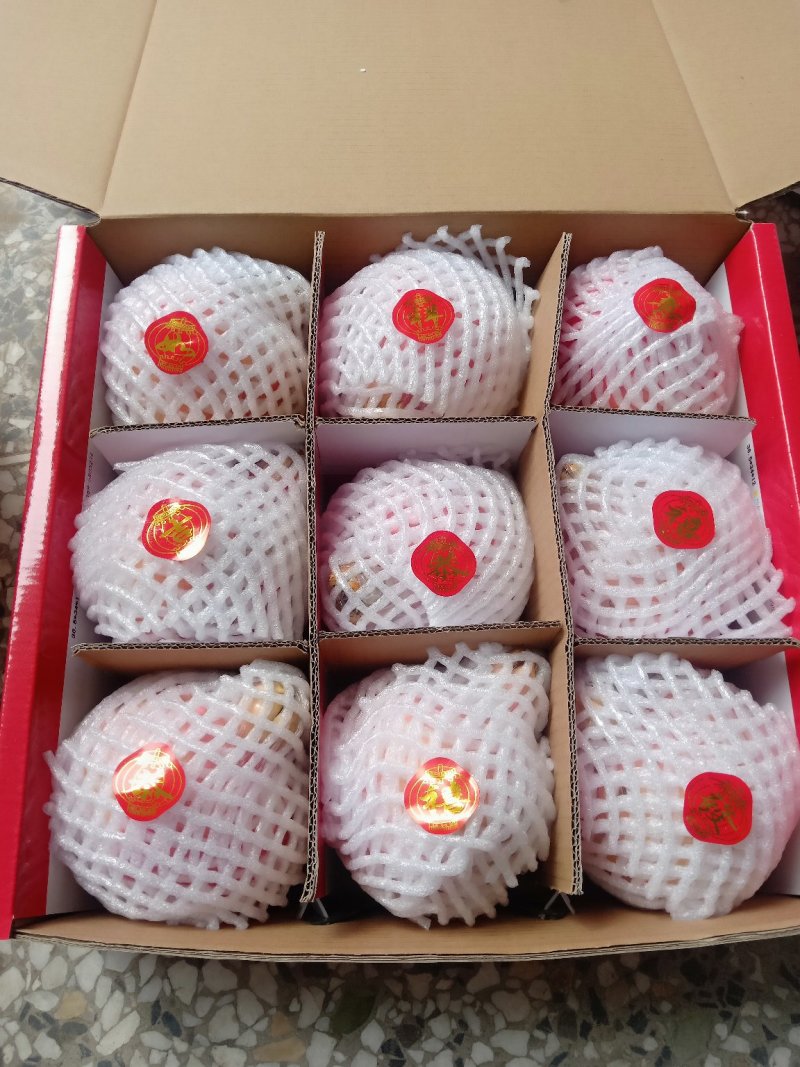 御石榴
