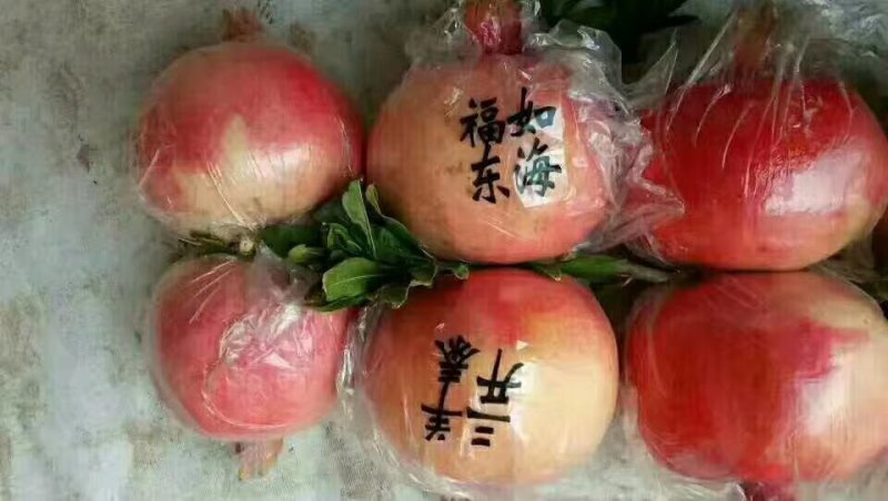 石榴