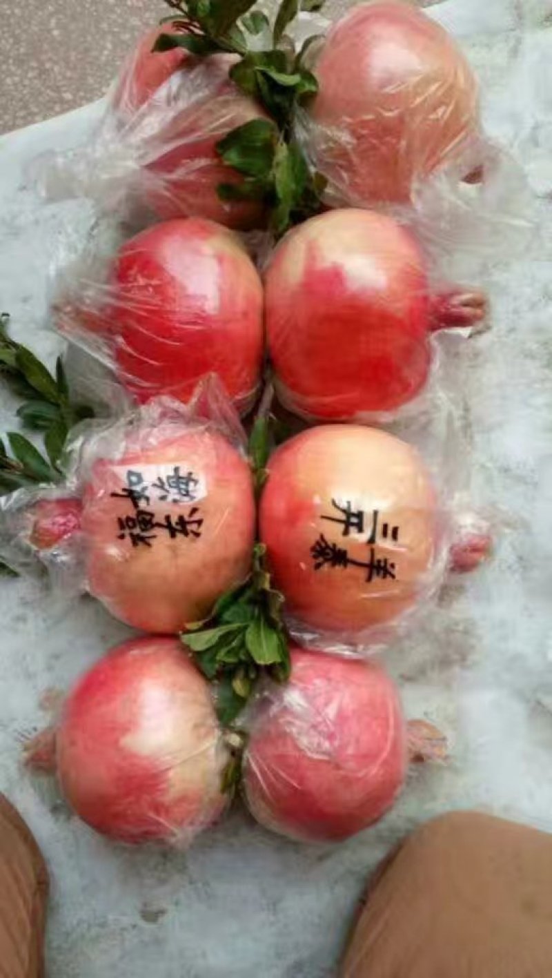 石榴