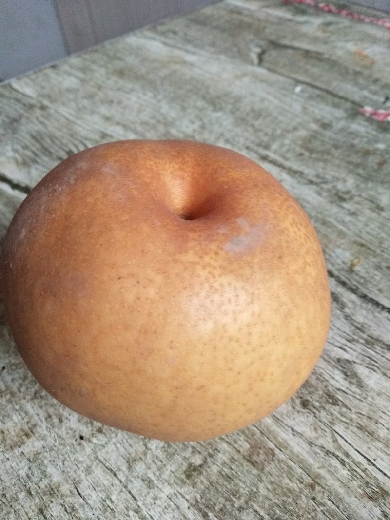 晚秋黄梨