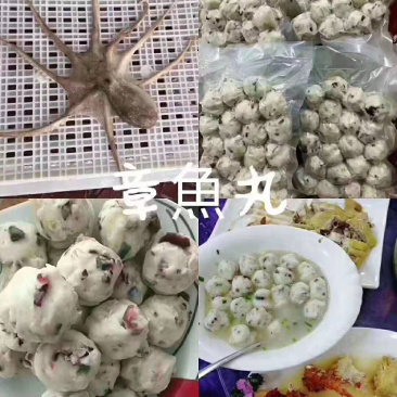 (一件代发)深海天然章鱼冷冻食品批发