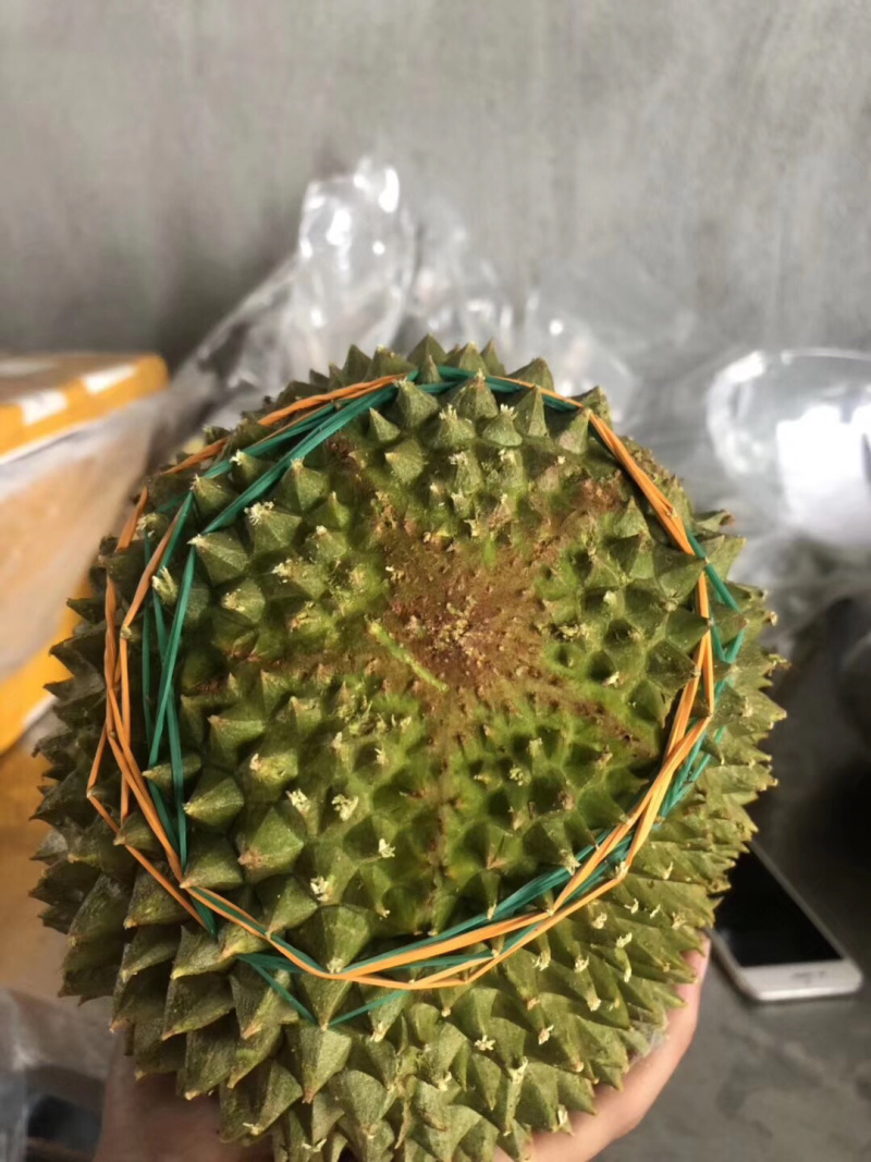 马来西亚猫山王榴莲（液氮榴莲）