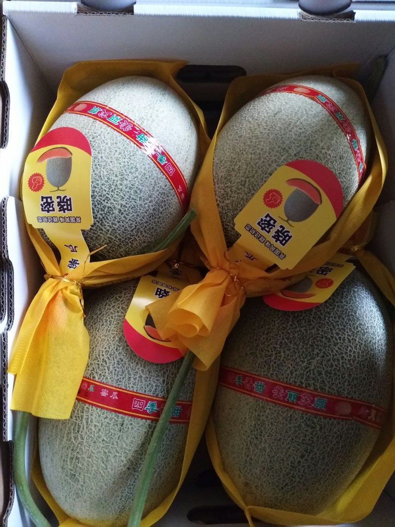 小蜜25号，哈密瓜大量上市中，产地直供，货源充足