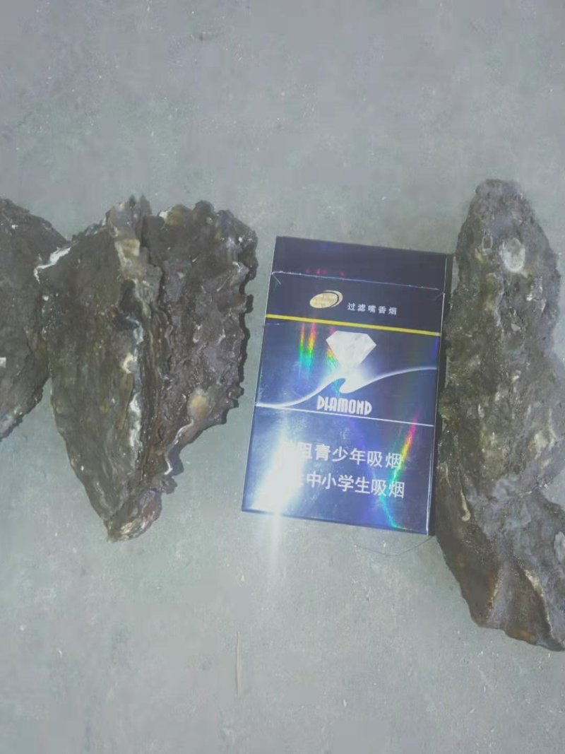 手扣精品牡蛎各种规格