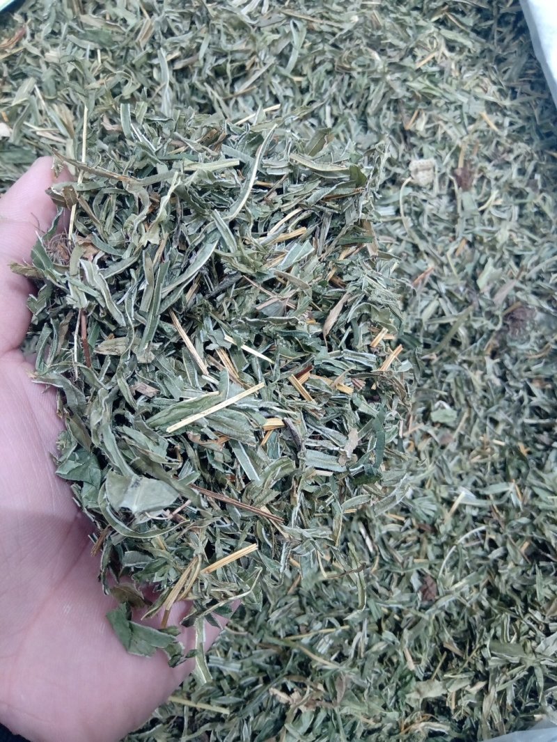 凤尾草1公斤起批不包邮供应各种中药材量大从优欢迎咨询