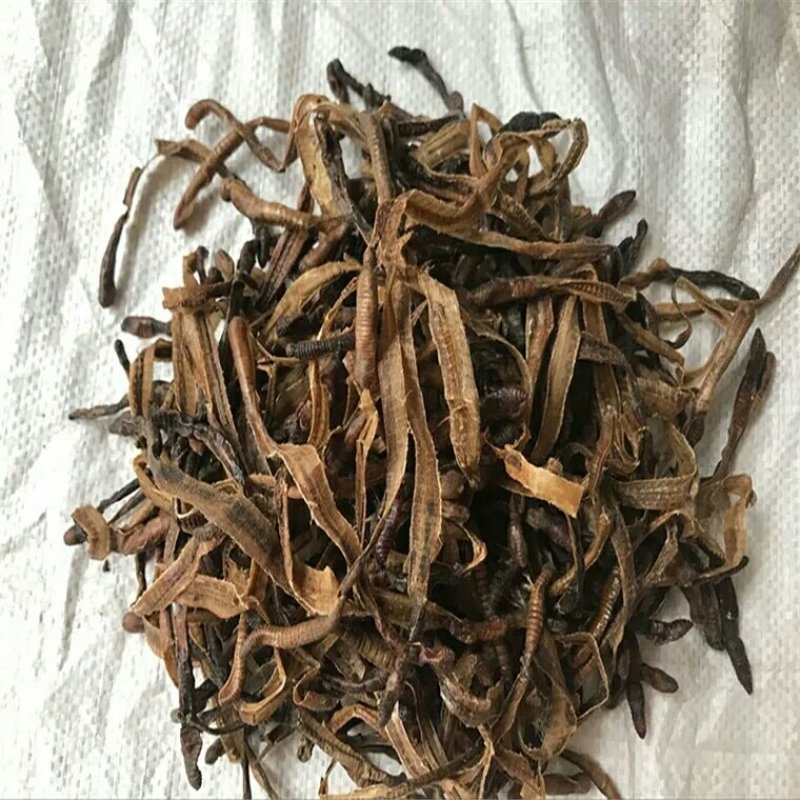 地龙产地直供支持线上交易可搭配多品种采购大货联系客服
