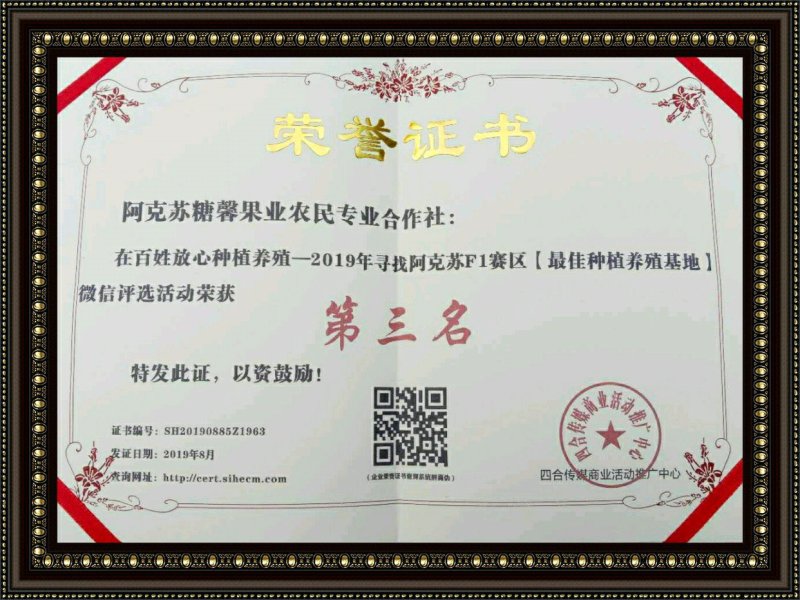 阿克苏红旗坡红富士苹果75mm以上光果