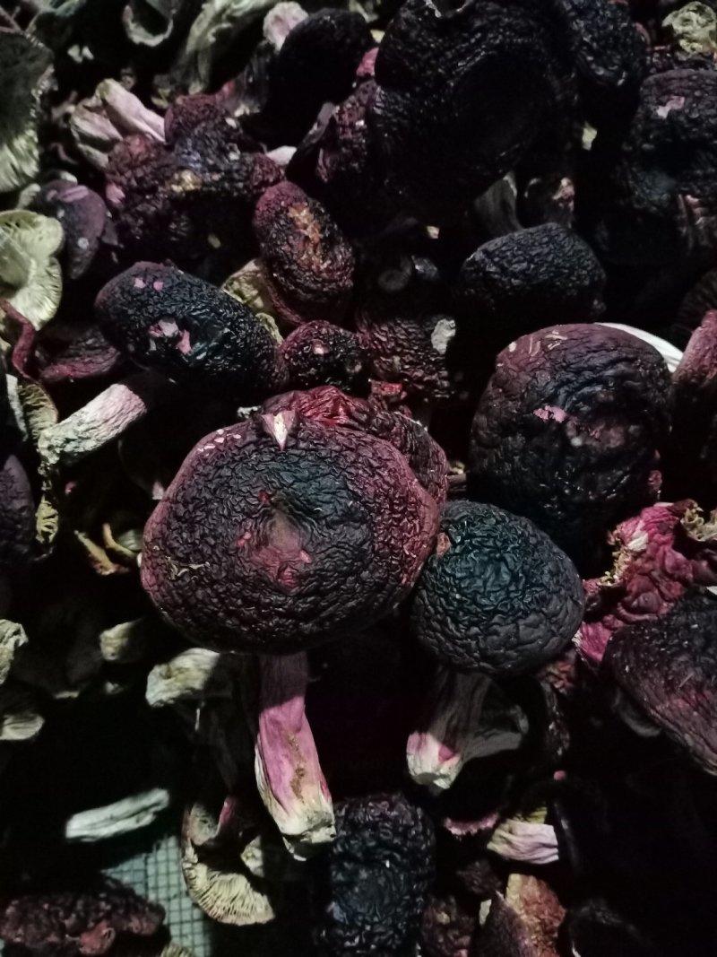 红菇（精选标菇）