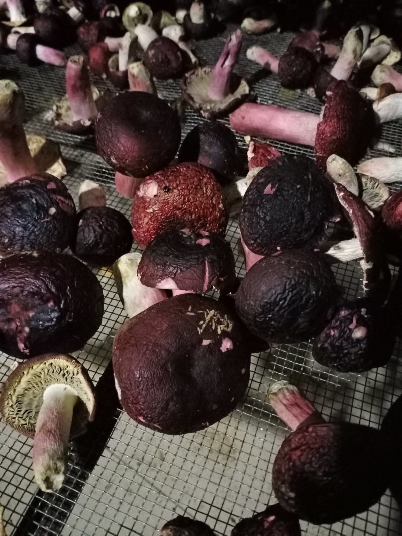 红菇（精选标菇）