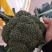 西蓝花，刚刚上市，颜色绿，质量非常好，有需要的联系