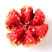 10斤红石榴石榴现摘红籽甜红石榴新鲜水果一件代发