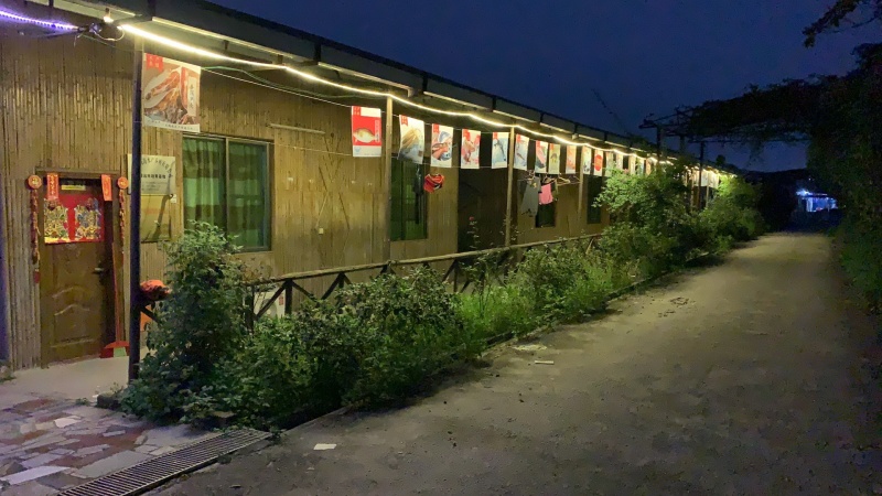 黑鱼苗批发～乌鱼苗基地直供～杂交黑鱼技术指导养殖～销售