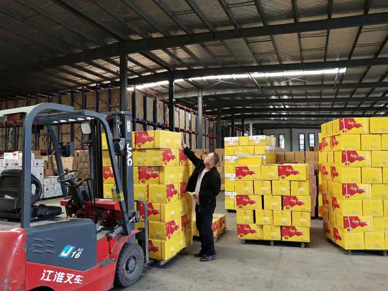 厂家直供电商团购商超新疆红枣若羌红枣日发货量20万斤以上
