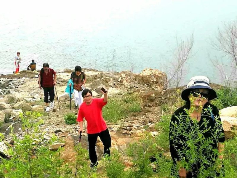 土地转让或合作，土地5500亩，水电齐备。其2千亩平地。