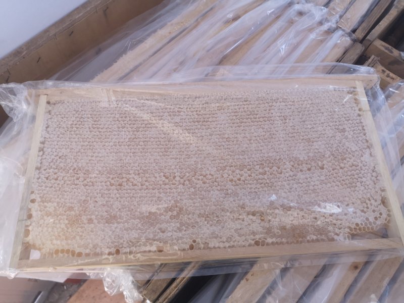 2500克整张蜂巢蜜，源头批发天然纯正，诚招代理