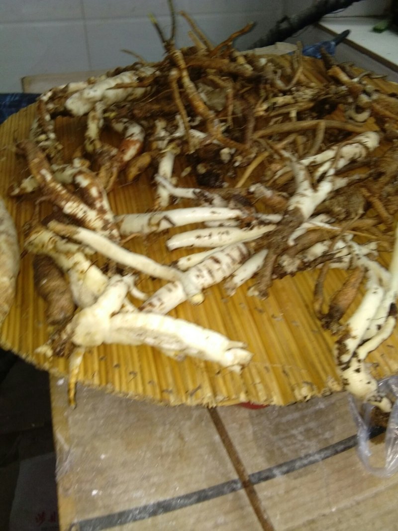 太行山纯野出南北沙参