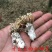 中药材金蝉花新货无硫蝉蛹草500克包邮土蝉