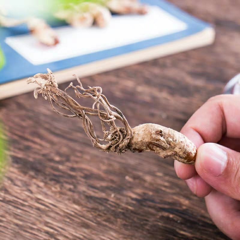 中药材金蝉花新货无硫蝉蛹草500克包邮土蝉