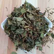 肺形草产地直供支持线上交易可搭配多品种采购大货联系