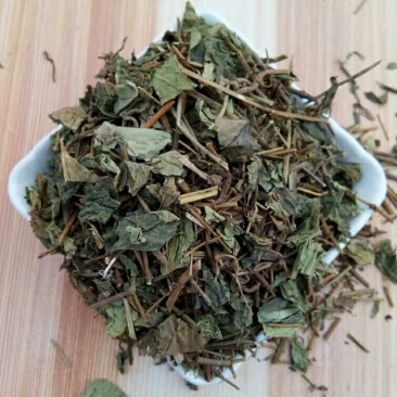 肺形草产地直供支持线上交易可搭配多品种采购大货联系