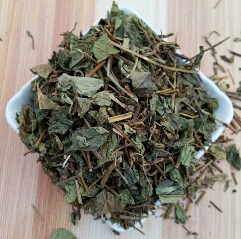 肺形草产地直供支持线上交易可搭配多品种采购大货联系