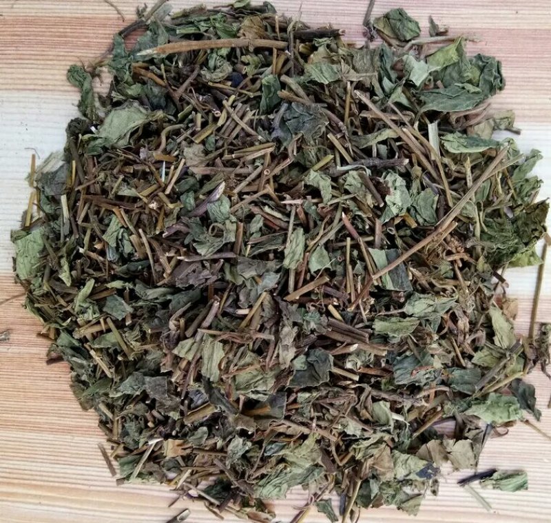 肺形草产地直供支持线上交易可搭配多品种采购大货联系