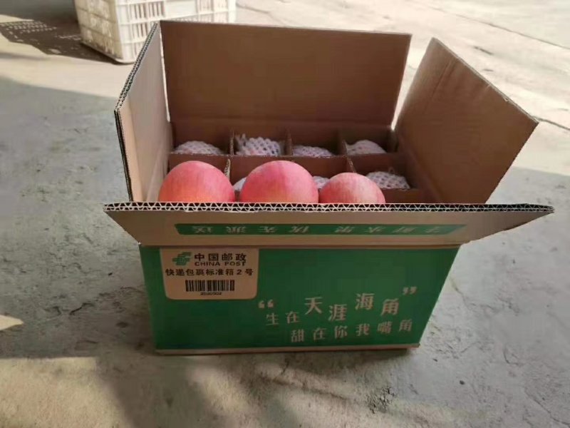 水果之王~接单中……