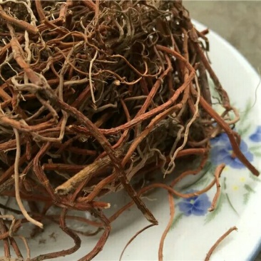 珍珠菜产地直供支持线上交易可搭配多品种采购大货联系