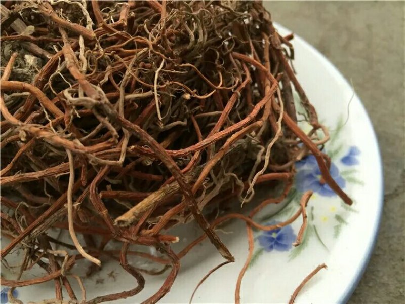 珍珠菜产地直供支持线上交易可搭配多品种采购大货联系