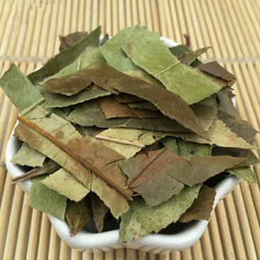 南烛叶产地直供支持线上交易可搭配多品种采购大货联系