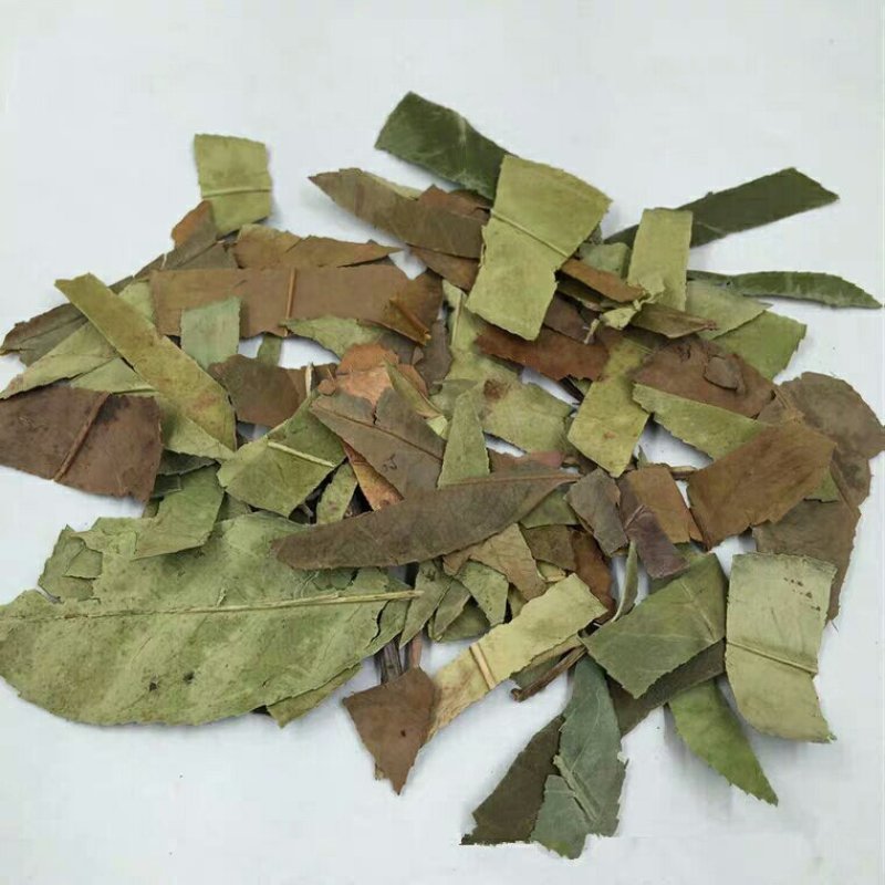 南烛叶产地直供支持线上交易可搭配多品种采购大货联系
